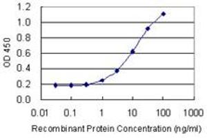 Detection limit for recombinant GST tagged RLF is 0. (RLF antibody  (AA 1805-1913))
