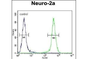 JOSD2 Antibody (N-term) (ABIN654556 and ABIN2844263) flow cytometric analysis of Neuro-2a cells (right histogram) compared to a negative control cell (left histogram). (JOSD2 antibody  (N-Term))