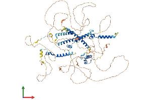 AlphaFold protein structure predicition of Mouse Recombinant Myocd Protein, UniprotID Q8VIM5