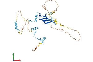AlphaFold protein structure predicition of Human Recombinant LSM11 Protein, UniprotID P83369
