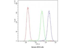 Flow cytometry testing of human A549 cells with ADO antibody at 1ug/10^6 cells (blocked with goat sera)