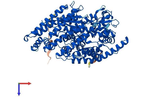 Thimet Oligopeptidase 1 Protein (THOP1) (AA 1-687) (His tag)