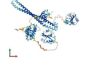 AlphaFold protein structure predicition of Human Recombinant PIK3R2 Protein, UniprotID O00459 (PIK3R2 Protein (AA 1-728) (His tag))