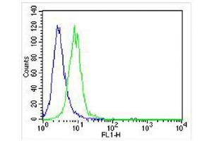 Overlay histogram showing NIH/3T3 cells stained with (ABIN6243361 and ABIN6577105) (green line). (FER antibody)