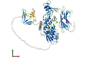 AlphaFold protein structure predicition of Mouse Recombinant Smurf1 Protein, UniprotID Q9CUN6 (SMURF1 Protein (AA 1-731) (His tag))