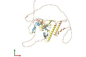 Protein Structure (PS) image for IKAROS Family Zinc Finger 3 (Aiolos) (IKZF3) (AA 1-509) protein (His tag) (ABIN7548497)