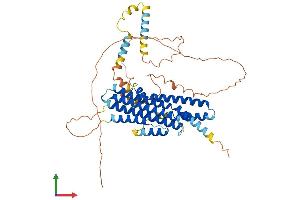 Protein Structure (PS) image for Family with Sequence Similarity 114, Member A2 (FAM114A2) (AA 1-505) protein (His tag) (ABIN7547539)