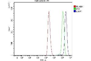 Flow Cytometry analysis of THP-1 cells using anti-EPLIN/LIMA1 antibody (ABIN7602639).