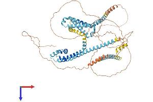 CATSPER1 Protein (AA 1-686) (His tag)