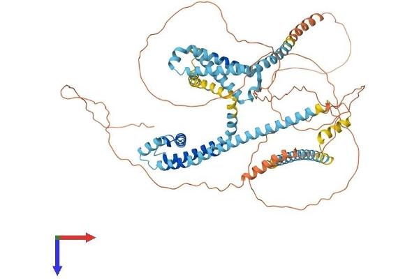 CATSPER1 Protein (AA 1-686) (His tag)