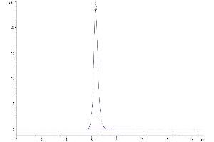 The purity of Human B7-H3 is greater than 95 % as determined by SEC-HPLC. (CD276 Protein (CD276) (AA 29-245) (Fc Tag))