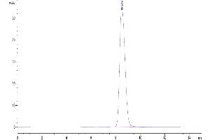 Size-exclusion chromatography-High Pressure Liquid Chromatography (SEC-HPLC) image for Interleukin 1 Receptor, Type I (IL1R1) (AA 18-332) protein (His tag) (ABIN7274887)