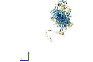 AlphaFold protein structure predicition of Mouse Recombinant Hps6 Protein, UniprotID Q8BLY7 (HPS6 Protein (AA 1-805) (His tag))
