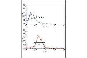 Flow cytometric analysis of MCF-7 cells using KLF4 Monoclonal Antibody (bottom histogram) compared to a negative control (top histogram). (KLF4 antibody)