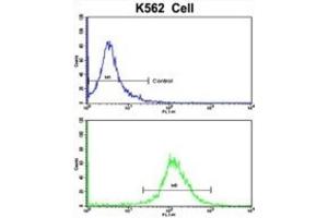 Flow Cytometry (FACS) image for anti-Ras Interacting Protein 1 (RASIP1) antibody (ABIN3002848) (RASIP1 antibody)