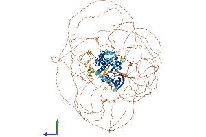 AlphaFold protein structure predicition of Human Recombinant AATK Protein, UniprotID Q6ZMQ8