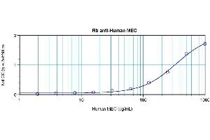 Sandwich ELISA using MEC / CCL28 antibody (CCL28 antibody)