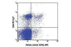 Flow Cytometry (FACS) image for anti-IKAROS Family Zinc Finger 2 (IKZF2) antibody (APC) (ABIN2658755) (IKZF2 antibody  (APC))