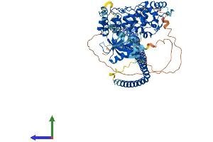 AlphaFold protein structure predicition of Mouse Recombinant Acap2 Protein, UniprotID Q6ZQK5