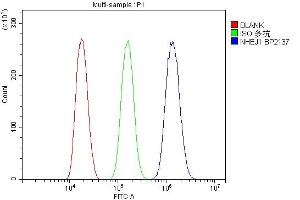 Flow Cytometry analysis of HEPA1-6 cells using anti-NHEJ1 antibody (ABIN7599198). (NHEJ1 antibody  (AA 1-273))