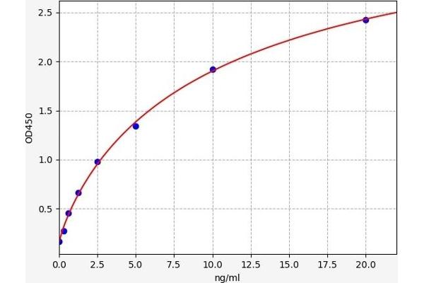 IGFBP4 ELISA Kit