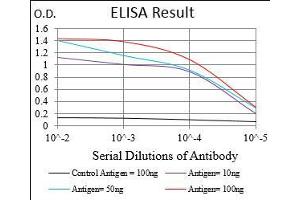 Black line: Control Antigen (100 ng), Purple line: Antigen(10 ng), Blue line: Antigen (50 ng), Red line: Antigen (100 ng), (PRKACA antibody  (AA 1-120))