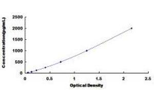 ELISA image for Glycoprotein Ib (Platelet), beta Polypeptide (GP1BB) ELISA Kit (ABIN424559) (GP1BB ELISA Kit)