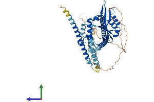 AlphaFold protein structure predicition of Human Recombinant NUP54 Protein, UniprotID Q7Z3B4 (NUP54 Protein (AA 1-507) (His tag))
