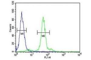 LOX antibody flow cytometric analysis of 293 cells (green) compared to a negative control (blue). (LOX antibody  (AA 234-260))