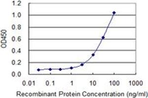Detection limit for recombinant GST tagged NOS2 is 0. (NOS2 antibody  (AA 685-794))
