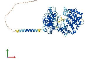 AlphaFold protein structure predicition of Human Recombinant KEL Protein, UniprotID P23276 (KEL Protein (AA 1-732) (His tag))