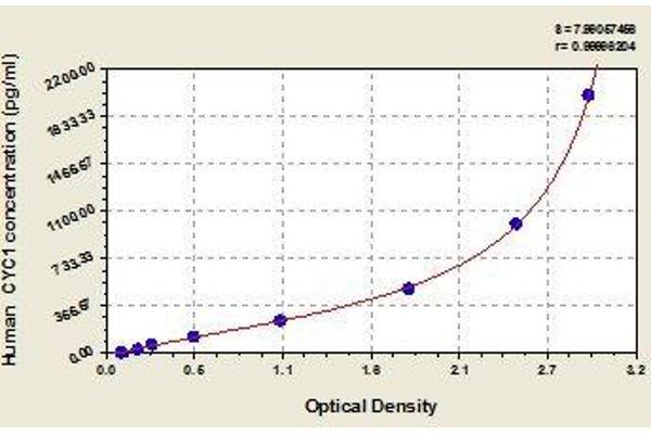 Cytochrome C1 ELISA Kit