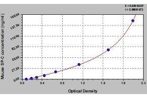 Typical standard curve (Surfactant Protein C ELISA Kit)