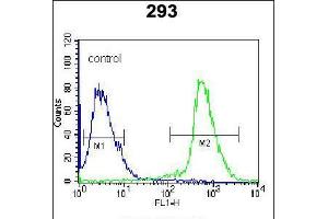 Flow cytometric analysis of 293 cells (right histogram) compared to a negative control cell (left histogram). (ARL2 antibody  (C-Term))