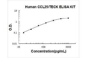 Chemokine (C-C Motif) Ligand 25 (CCL25) ELISA Kit