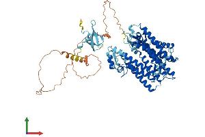AlphaFold protein structure predicition of Mouse Recombinant Lbr Protein, UniprotID Q3U9G9 (Lamin B Receptor Protein (LBR) (AA 1-626) (His tag))