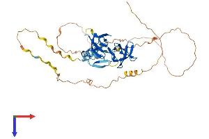 AlphaFold protein structure predicition of Mouse Recombinant Stac2 Protein, UniprotID Q8R1B0 (STAC2 Protein (AA 1-408) (His tag))