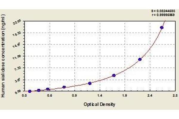 NEU1 ELISA Kit
