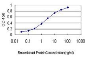 Detection limit for recombinant GST tagged RNF141 is approximately 0. (RNF141 antibody  (AA 141-229))