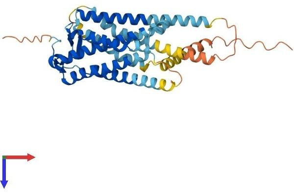 PTGER2 Protein (AA 1-358) (His tag)