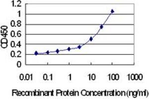 Detection limit for recombinant GST tagged SLC22A18AS is 0. (SLC22A18AS antibody  (AA 1-150))