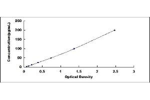 Typical standard curve (TNF alpha ELISA Kit)