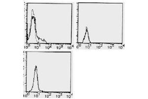 Flow Cytometry (FACS) image for anti-CD274 (PD-L1) antibody (ABIN1449170) (PD-L1 antibody)