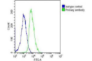 Overlay histogram showing SH-SY5Y cells stained with Antibody (green line).