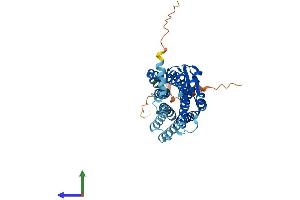 AlphaFold protein structure predicition of Human Recombinant PRLHR Protein, UniprotID P49683