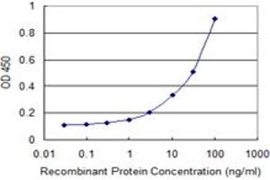Detection limit for recombinant GST tagged NELL2 is 0. (NELL2 antibody  (AA 301-400))