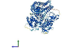 Protein Structure (PS) image for Vav 1 Oncogene (VAV1) (AA 1-845) protein (His tag) (ABIN7545081)