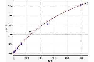 Osteocrin (OSTN) ELISA Kit