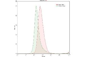 Detection of GAL1 in K562 human chronic myelogenous leukemia cell line using Anti-Galectin 1 (GAL1) Polyclonal Antibody (LGALS1/Galectin 1 antibody  (AA 1-135))