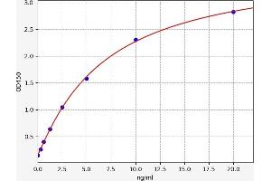 Typical standard curve (RASGRP3 ELISA Kit)